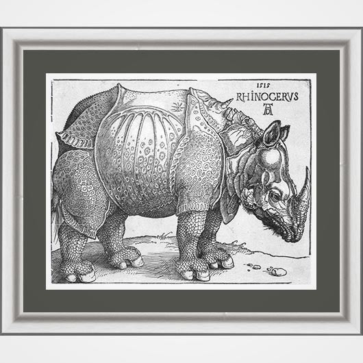 Albrecht Dürer's Rhinoceros - Image 3